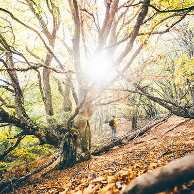 playing-in-nature-400